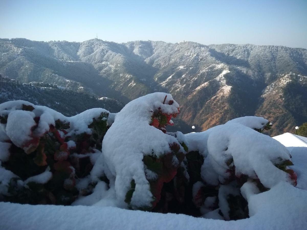 Spangle Heights Shimla, Suites And Residences エクステリア 写真